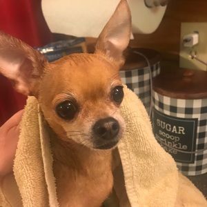 Meet your Posher, Jody